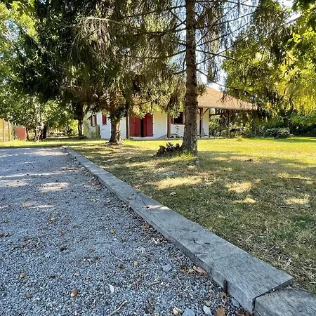 Au Milieu Des Pins / Bord Du Biscarrosse