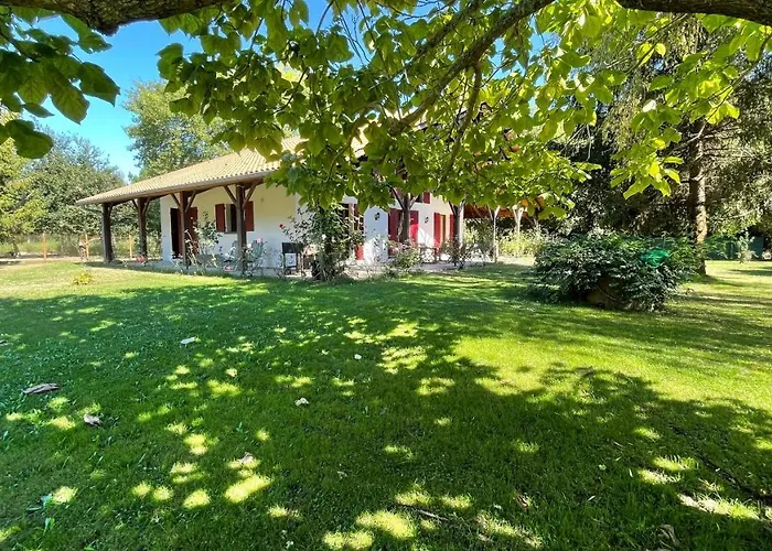 Vila Au Milieu Des Pins / Bord Du Biscarrosse