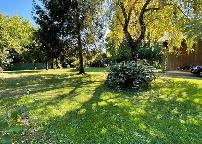 Au Milieu Des Pins / Bord Du