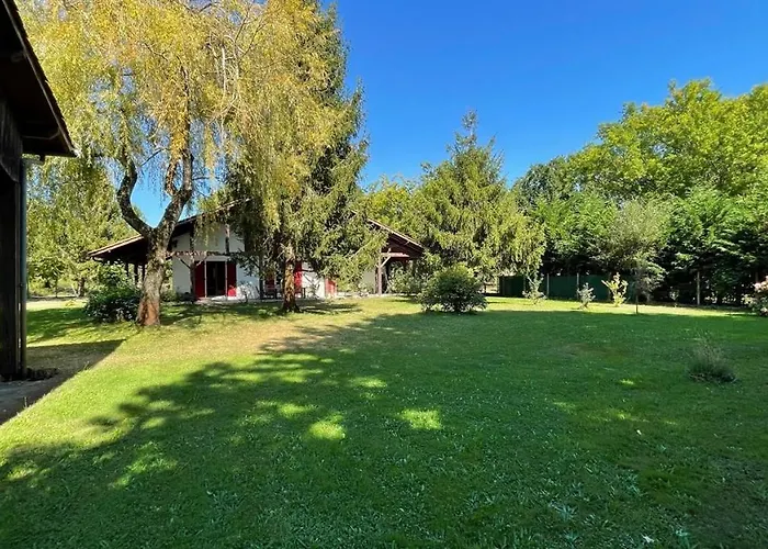 Vila Au Milieu Des Pins / Bord Du