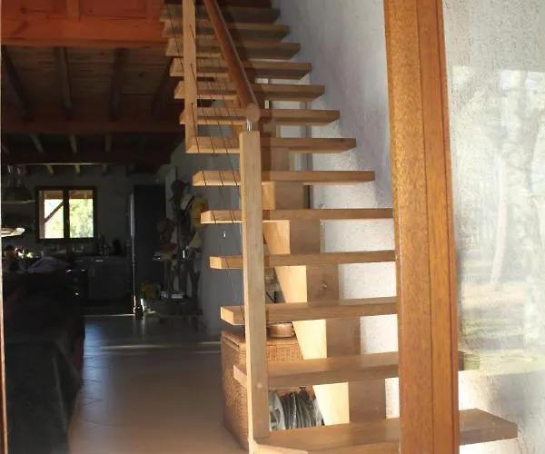 Au Milieu Des Pins / Bord Du *