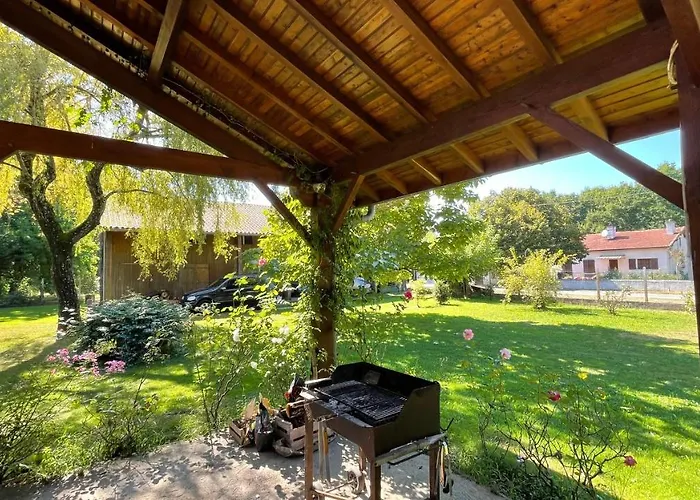 Au Milieu Des Pins / Bord Du