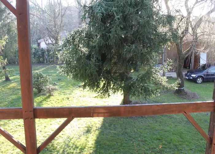 Au Milieu Des Pins / Bord Du Vila