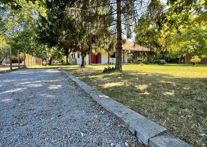 Au Milieu Des Pins / Bord Du Biscarrosse