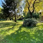 Au Milieu Des Pins / Bord Du