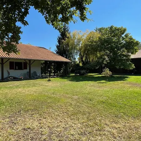 Au Milieu Des Pins / Bord Du Villa