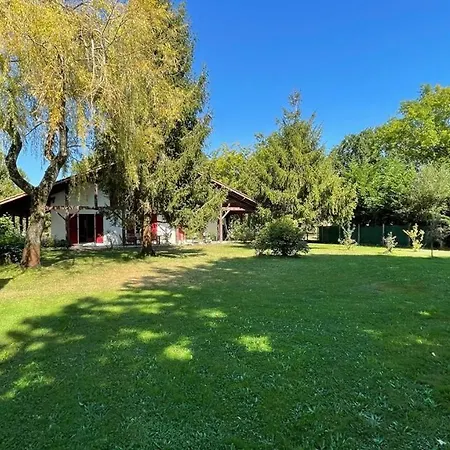 Villa Au Milieu Des Pins / Bord Du