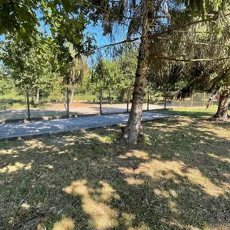 Au Milieu Des Pins / Bord Du Villa Biscarrosse