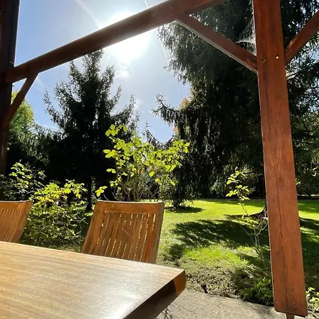 Au Milieu Des Pins / Bord Du Biscarrosse