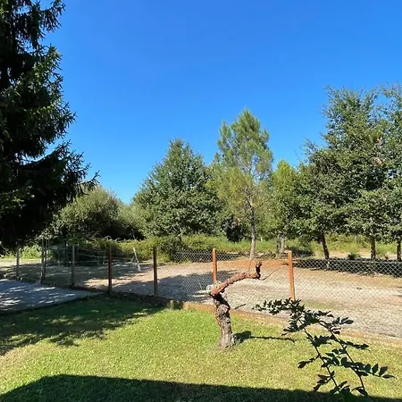 Au Milieu Des Pins / Bord Du Villa Biscarrosse