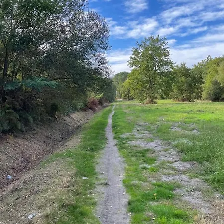 Au Milieu Des Pins / Bord Du