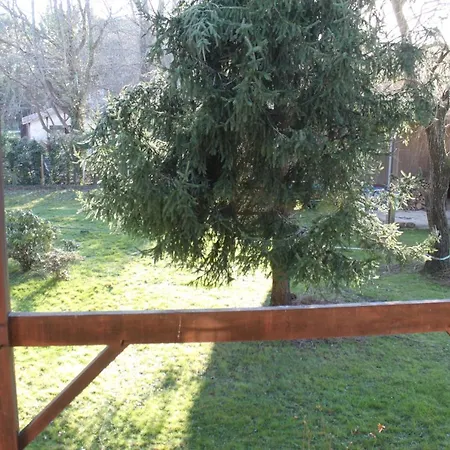 Au Milieu Des Pins / Bord Du Villa