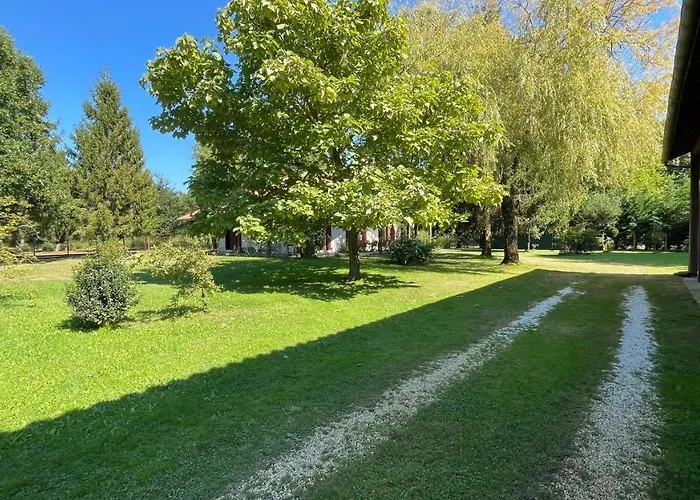 Au Milieu Des Pins / Bord Du Villa Biscarrosse